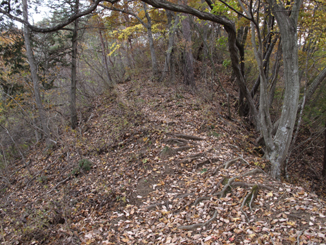 20181126hike (45)